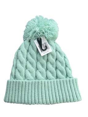 Books-A-Million Mint Knit Cable Beanie with Pom Pom